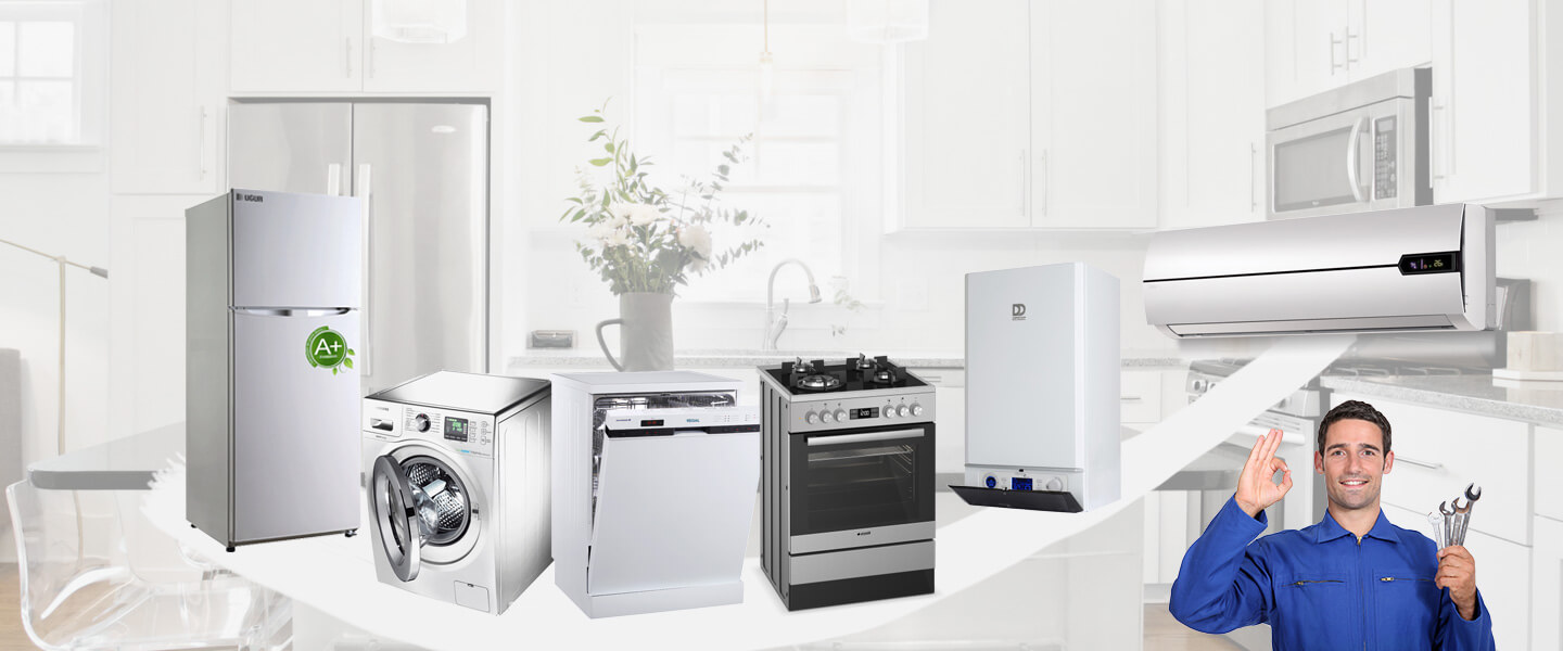 Bahçelerarası Smeg Servisi